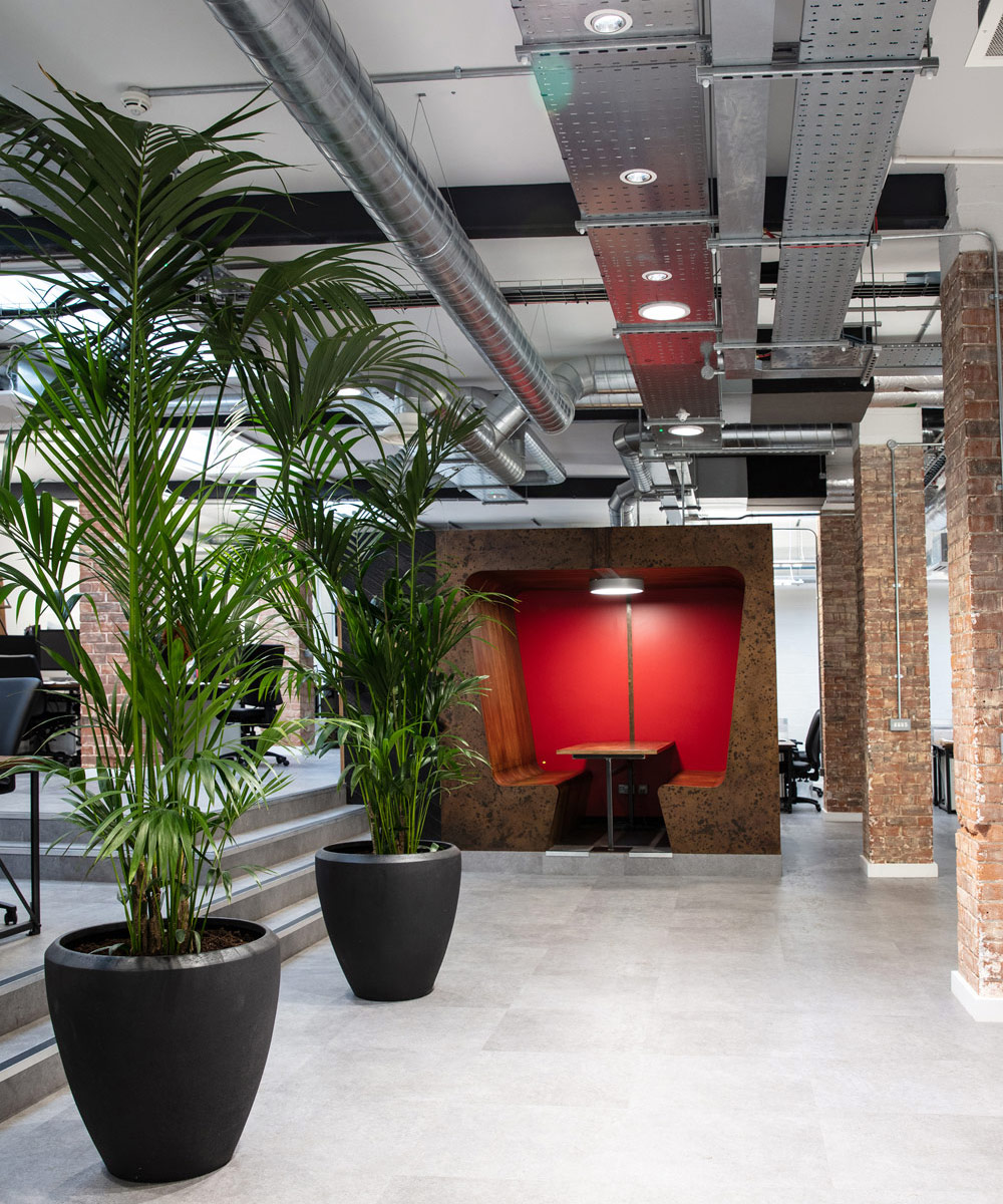 Proctor + Stevenson Bristol office fit out